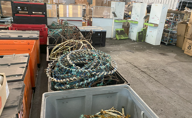 Bacs de coquilles Saint-Jacques dans un entrepôt, recyclage local